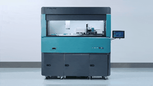 1676275817152 (1).gif