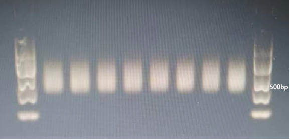 圖片4-2.png undefined