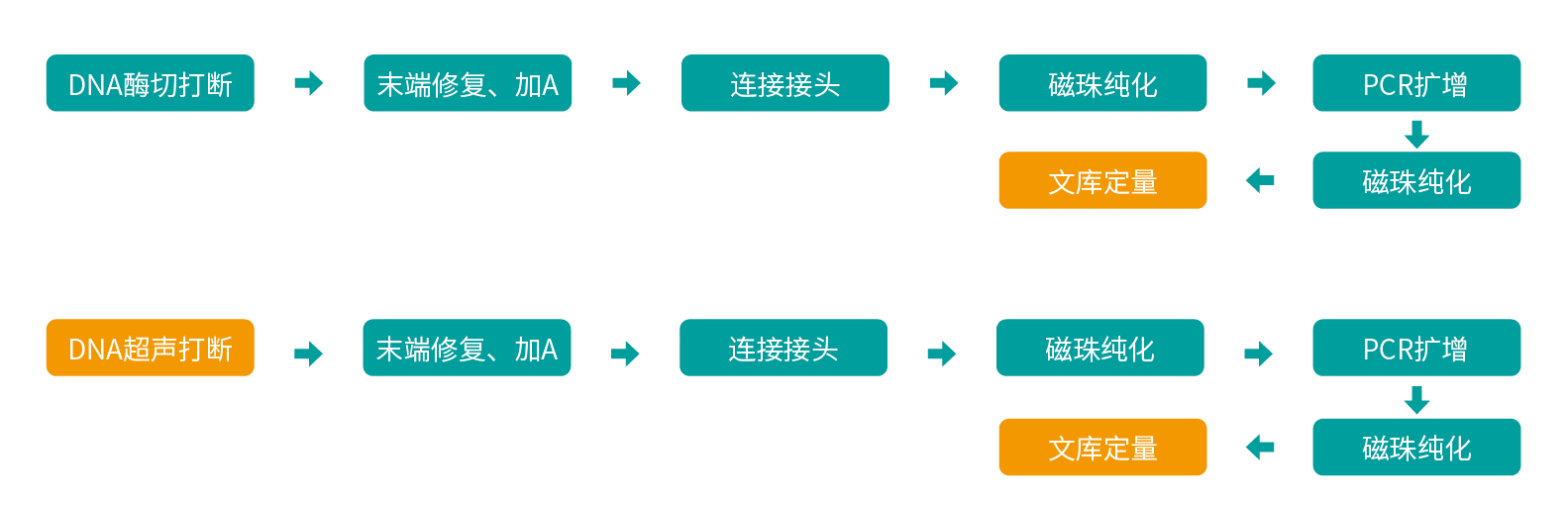 f361a79c08c868884721b76fec554e9.png f361a79c08c868884721b76fec554e9.png